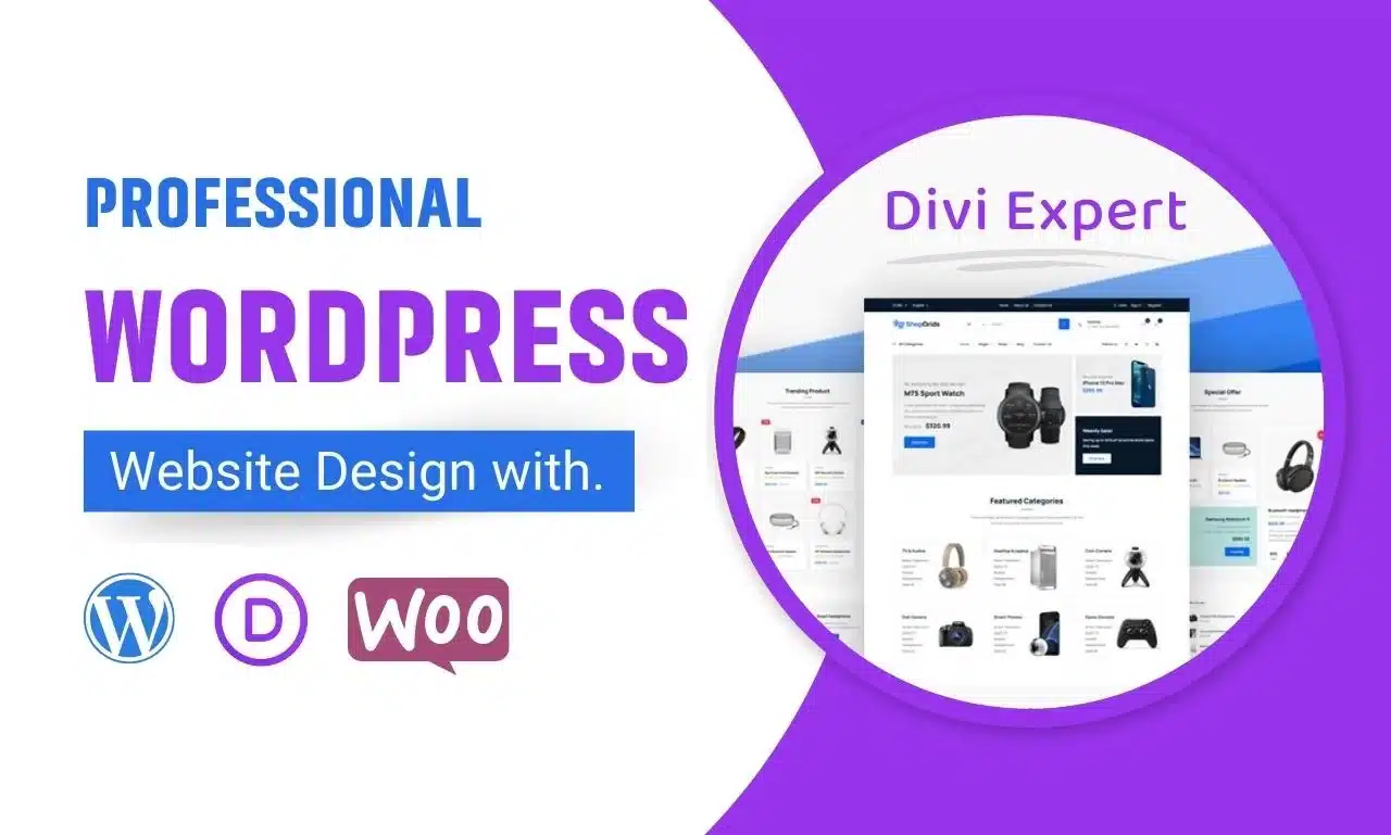 I-will-build-your-WordPress-website-using-a-Divi-theme-Divi-builder-for-your-business.-1